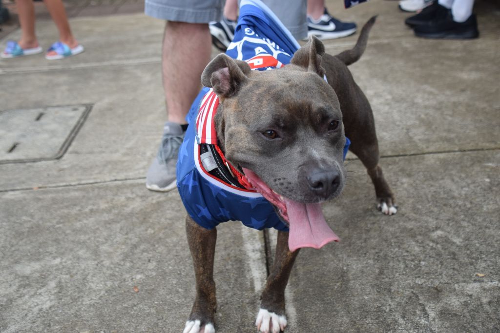dog show 6-2019 056 (1024x683).jpg